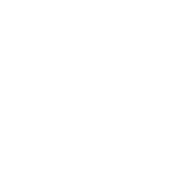 FRIspirit